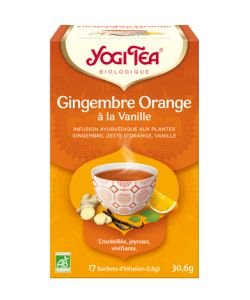 Ginger Orange Vanilla - Ayurvedic Infusion BIO, 17 sachets